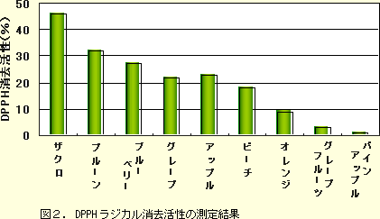 DPPHラジカル消去活性の測定結果