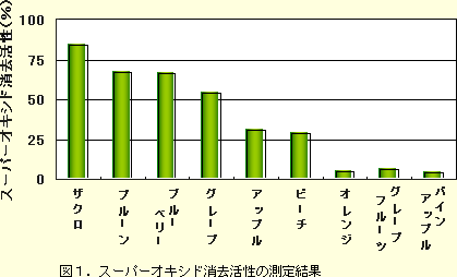 スーパーオキシド消去活性の測定結果