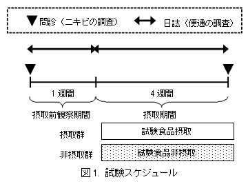 図1. 試験スケジュール