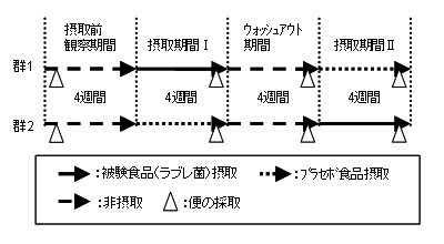 図1. 試験スケジュール