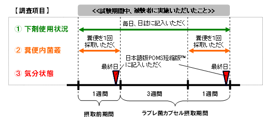 図１．試験スケジュール