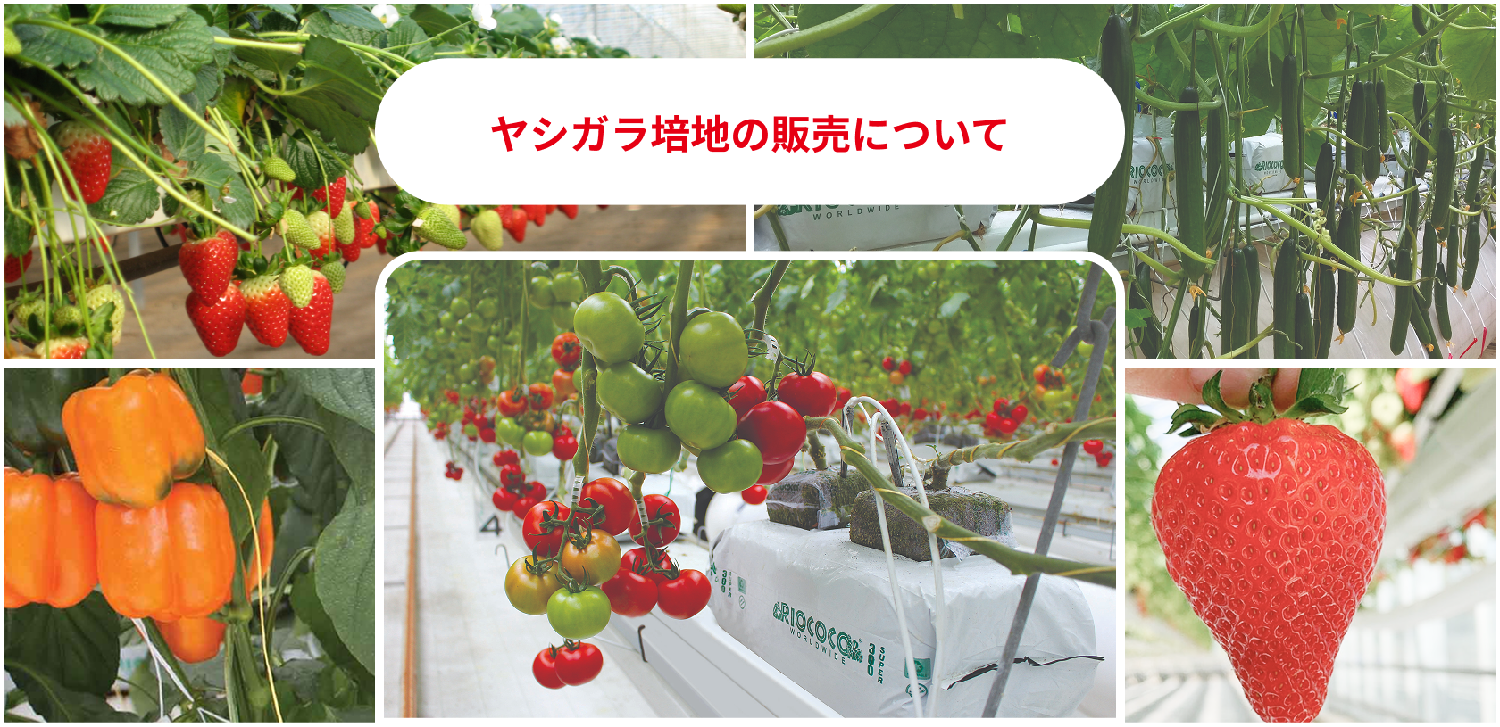 商品販売について