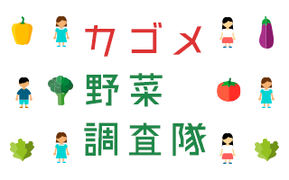 野菜調査隊