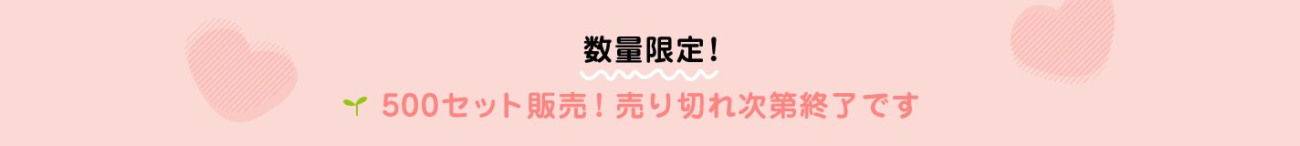 数量限定！500セット販売！売り切れ次第終了です