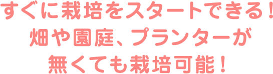 すぐに栽培をスタートできる！畑や園庭、プランターが無くても栽培可能！