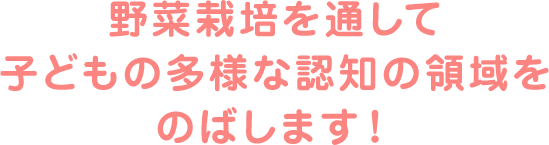 野菜栽培を通して子どもの多様な認知の領域をのばします！