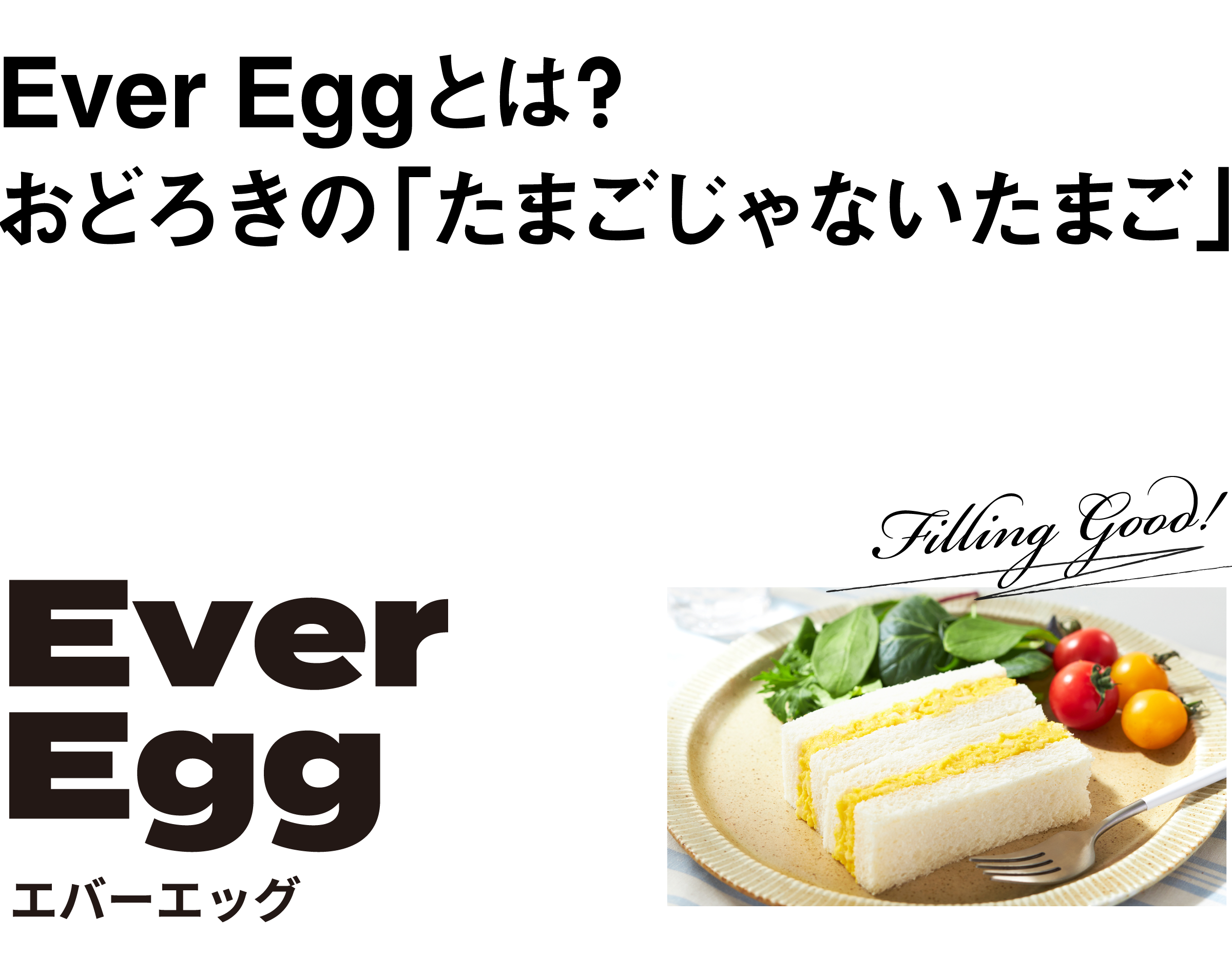 Ever Eggとは？おどろきの「たまごじゃないたまご」