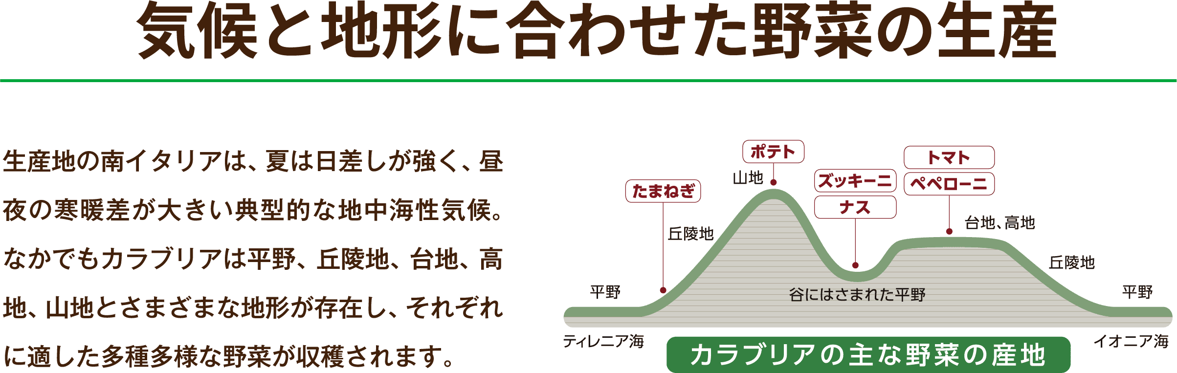 気候と地形に合わせた野菜の生産