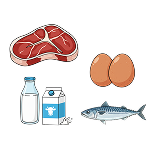 動物由来の食材