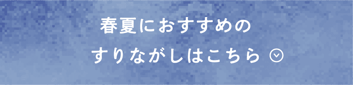 春夏におすすめのすりながしはこちら