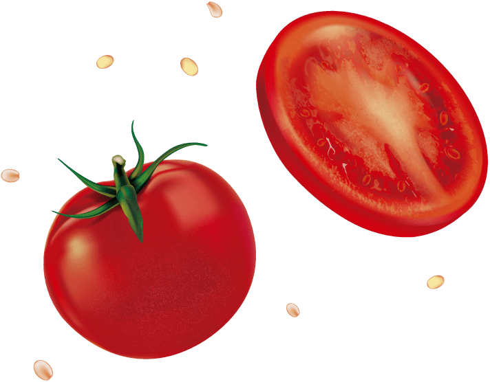 トマト イラスト
