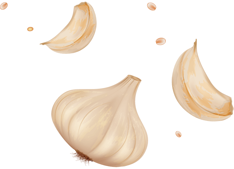 ニンニク イラスト