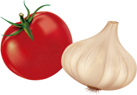トマト ニンニク イラスト
