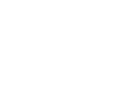 ニンニク イラスト