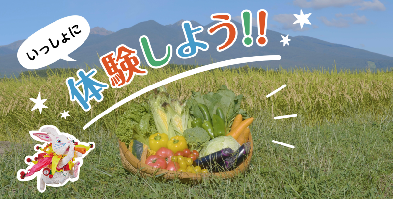 YSF_1_img01.png