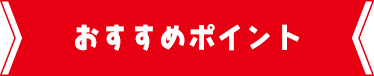 おすすめポイント