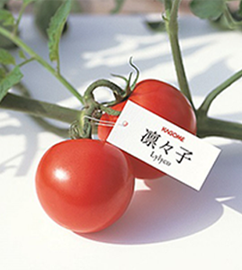 りりこわくわくプログラム