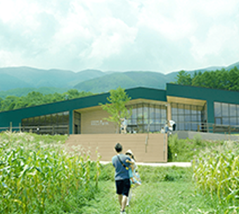 野菜生活ファーム