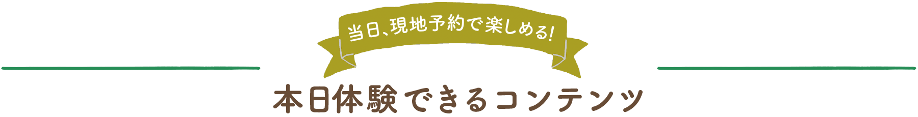 本日体験できるコンテンツ