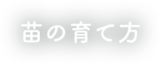 苗の育て方