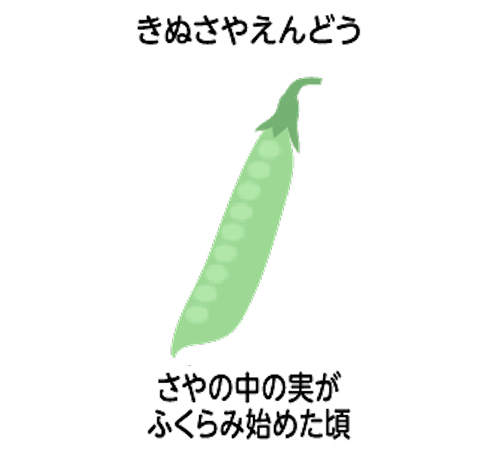 収穫 収穫