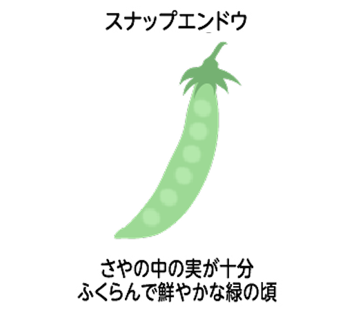 収穫 収穫