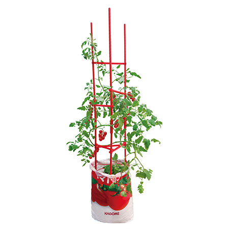 KAGOME そのまま育てるトマトの土|カゴメ株式会社