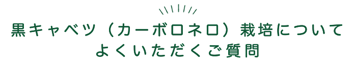 よくあるご質問