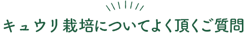 よくあるご質問