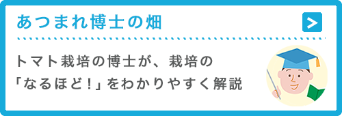 あつまれ博士の畑