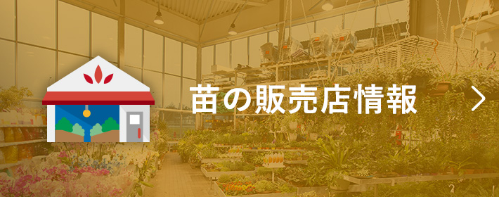 苗の販売店情報