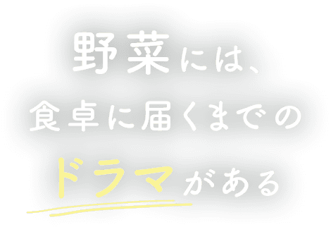 野菜には、食卓に届くまでのドラマがある