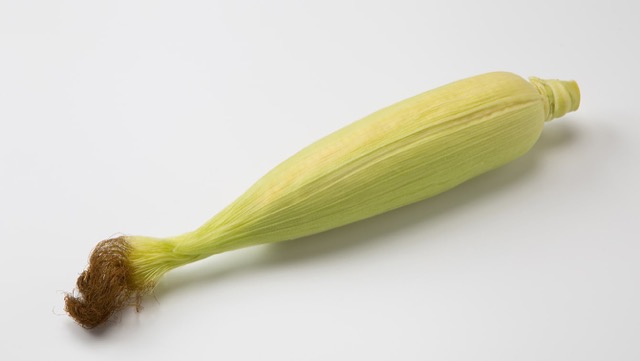 とうもろこしは皮つきで茹でる とうもろこしは皮つきで茹でる