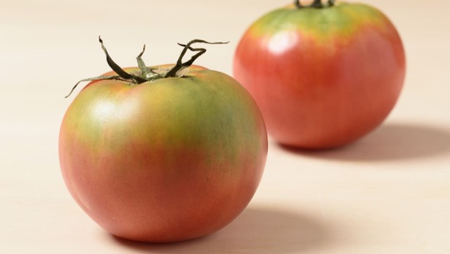 ［トマトがおいしくなる保存法］ある果物で未熟なトマトを追熟！