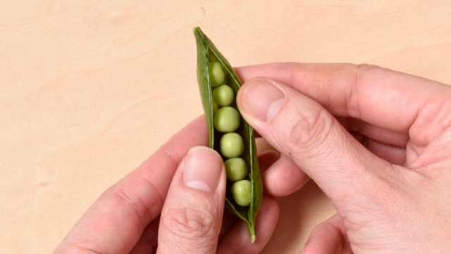 さやを左右に開き、中の豆を取り出す