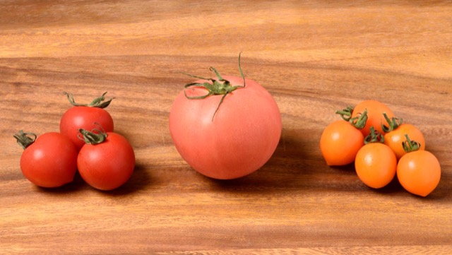 リコピン量はトマトの品種や色によって変わる