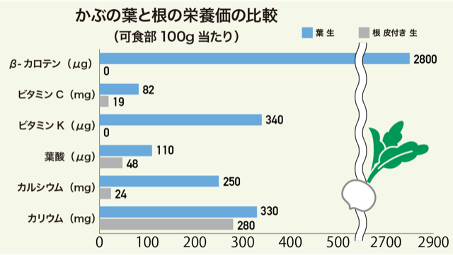 大根やかぶの葉の栄養 捨てずに食べたい 根との栄養の違い カゴメ株式会社