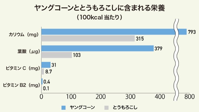 栄養の比較