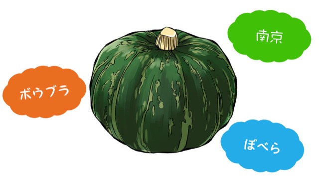 かぼちゃは ボウブラ 地方で異なる呼び名を持つ野菜まとめ カゴメ株式会社