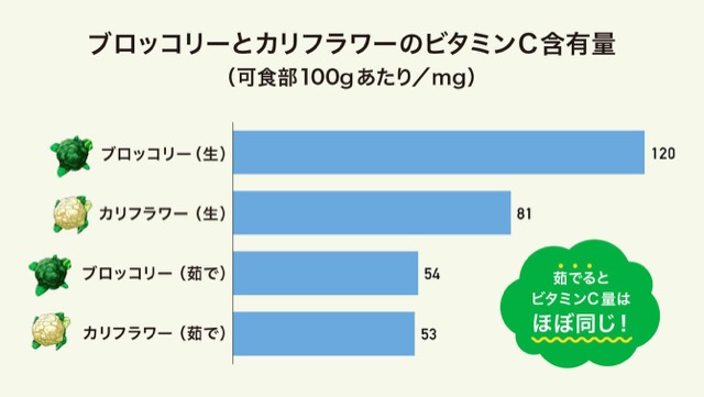ブロッコリーとカリフラワーのビタミンC含有量のグラフ ブロッコリーとカリフラワーのビタミンC含有量のグラフ