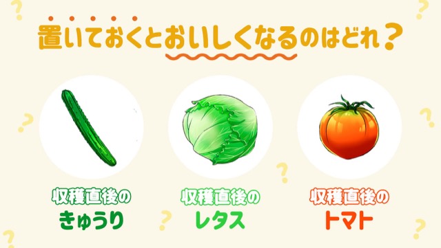 野菜の保存 おいしさ 鮮度だけでは決まらない 食べ頃とは カゴメ株式会社