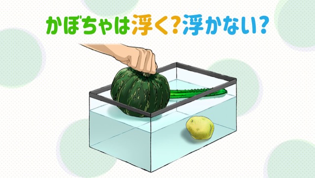 自由研究の実験に 水に浮く野菜or沈む野菜は 何で決まる カゴメ株式会社