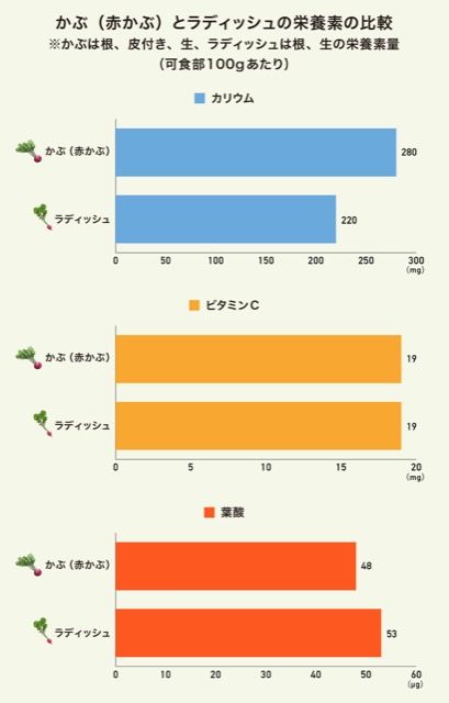 かぶ（赤かぶ）とラディッシュの栄養素の比較のグラフ