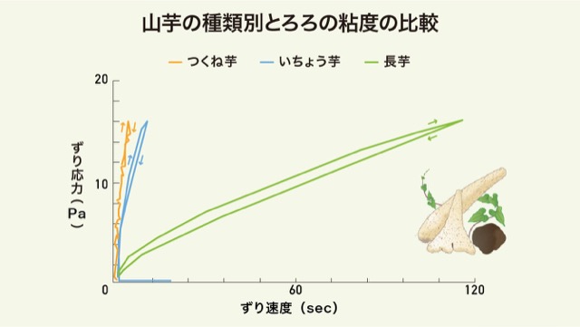 山芋の種類別とろろの粘度の比較