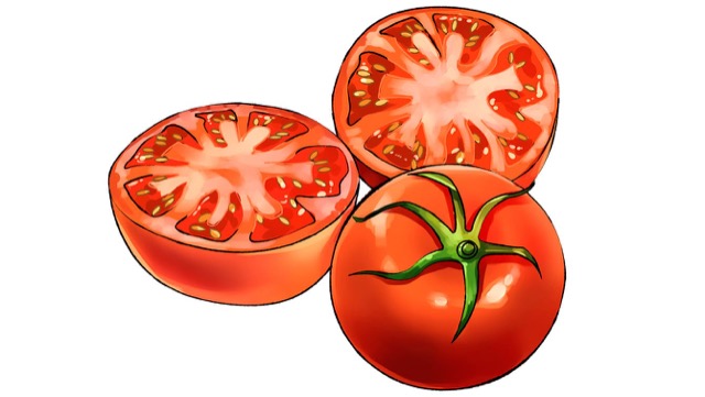 フルーツトマトは高糖度となるように特別な方法で栽培したもの
