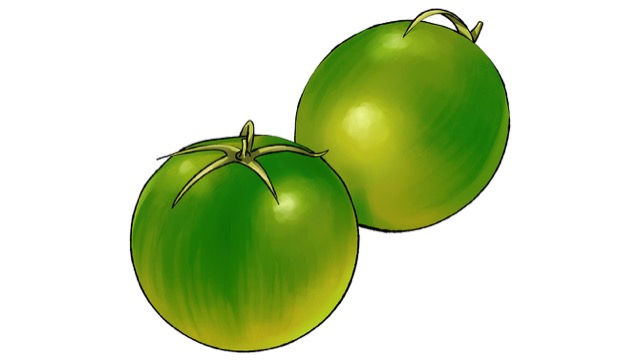 宝石のような緑色が特徴のエメラルド
