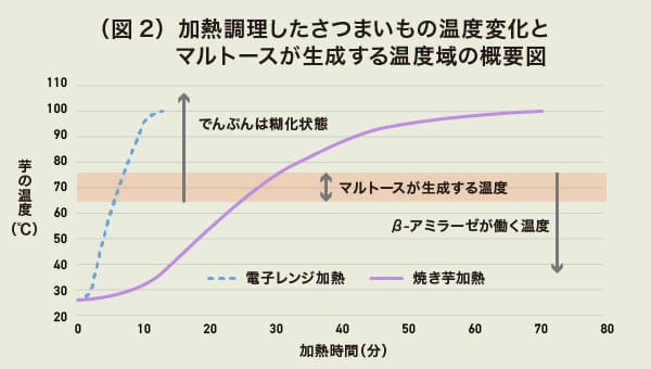 加熱調理したさつまいもの温度変化とマルトースが生成 する温度域の概要図