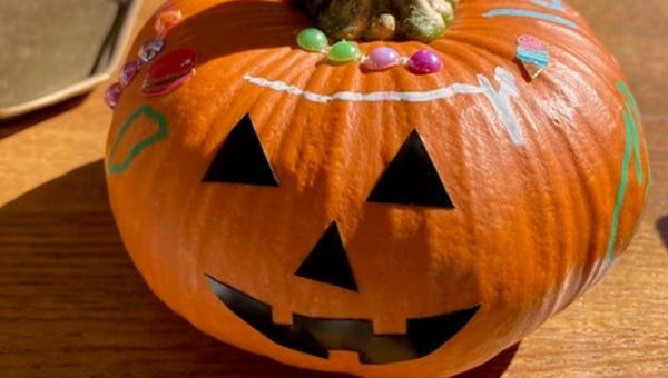 ハロウィン かぼちゃ ジャックオランタン　カボチャ かぼちゃライト 即日配送