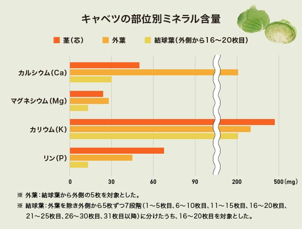 キャベツの部位別ミネラル含量のグラフ キャベツの部位別ミネラル含量のグラフ