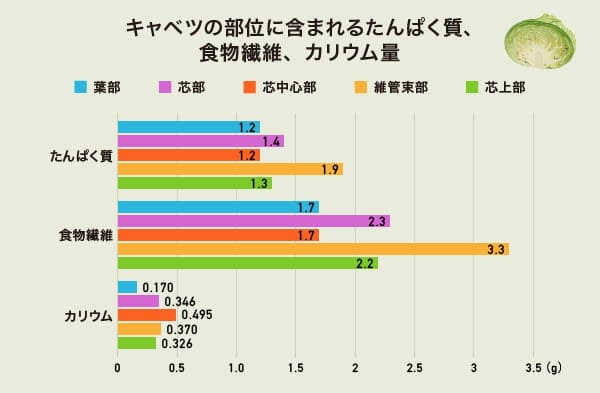 キャベツの部位に含まれるたんぱく質、食物繊維、カリウム量のグラフ
